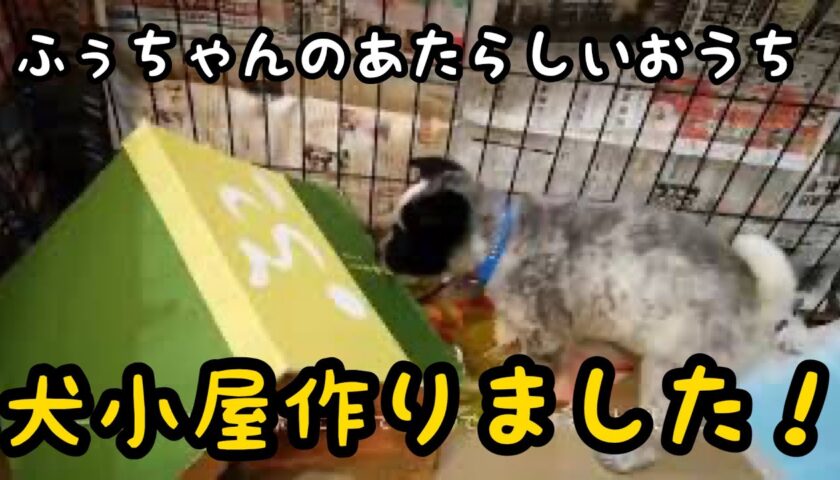 【HD画質】ふーちゃんのおうち自作　犬小屋の作り方