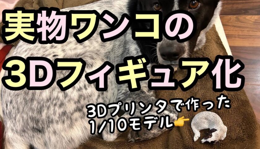 保護犬ふぅちゃん 3Dフィギュア化