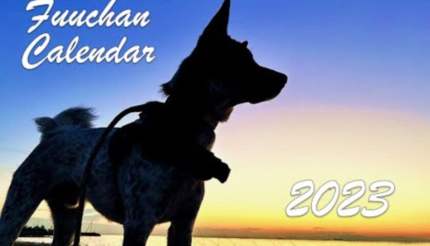 保護犬ふぅちゃん 2023年カレンダー