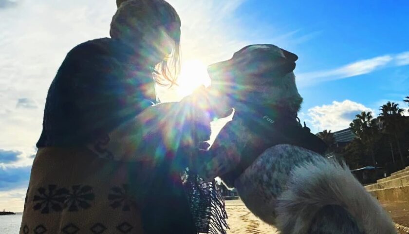 保護犬ふぅちゃん、冬の海で1分後の劇的再会