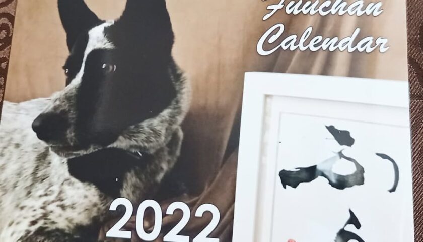 保護犬ふぅちゃん、2022年のカレンダーを作っちゃった