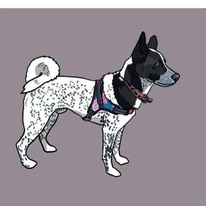 保護犬ふぅちゃん、イラストを描いていただきました