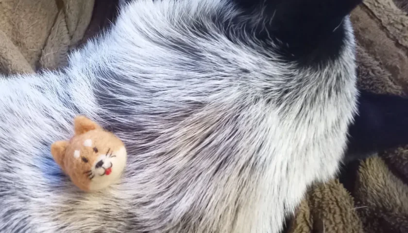 保護犬ふぅちゃん、羊毛フェルトのふぅちゃん軍団