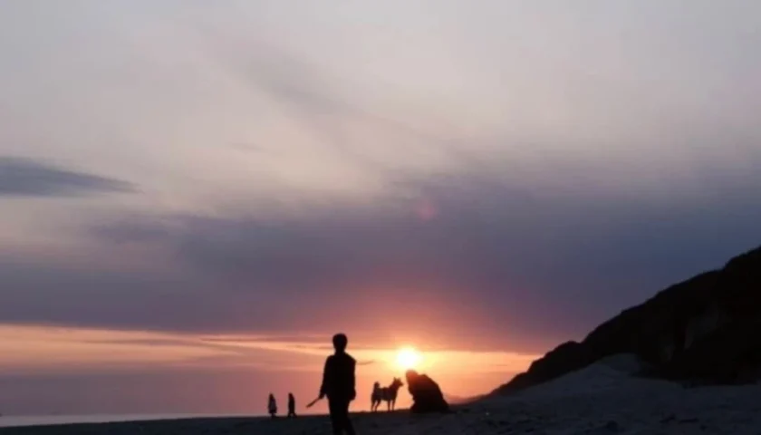 保護犬ふぅちゃん、のんほいパークのあと夕焼けの砂浜で