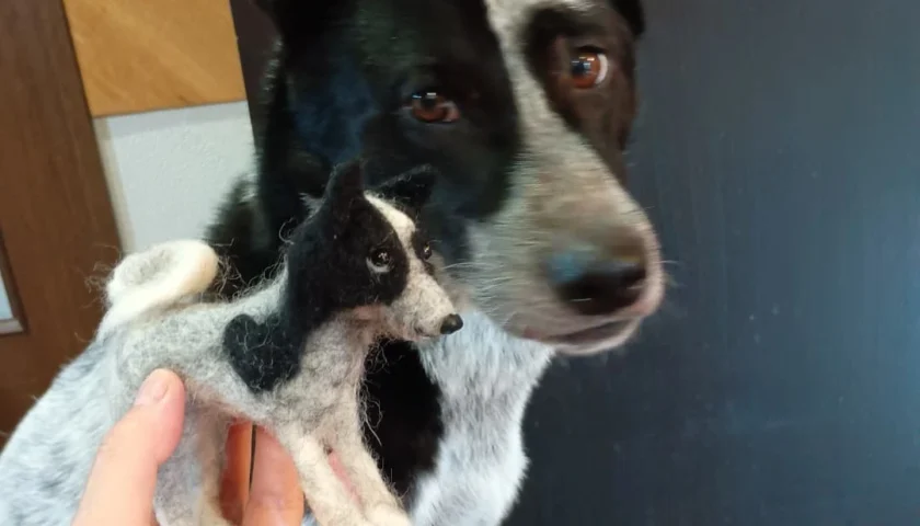 保護犬ふぅちゃん、自立する羊毛フェルト人形が完成